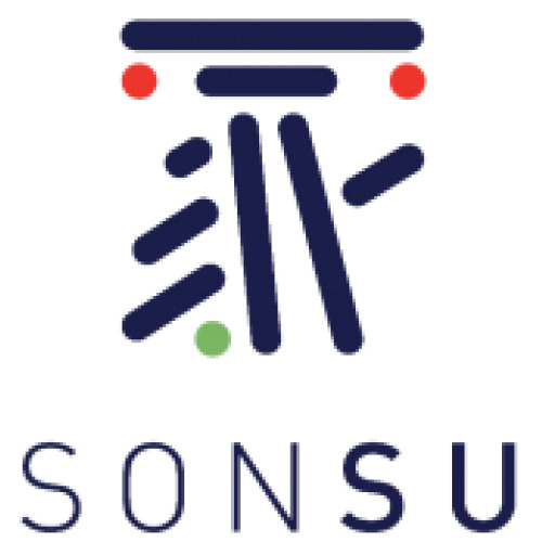 Springroll daurade concombre radis citron confit