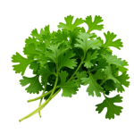 AVEC Coriandre  (+ 0.20 €)