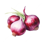 AVEC Echalote  (+0,20 €)